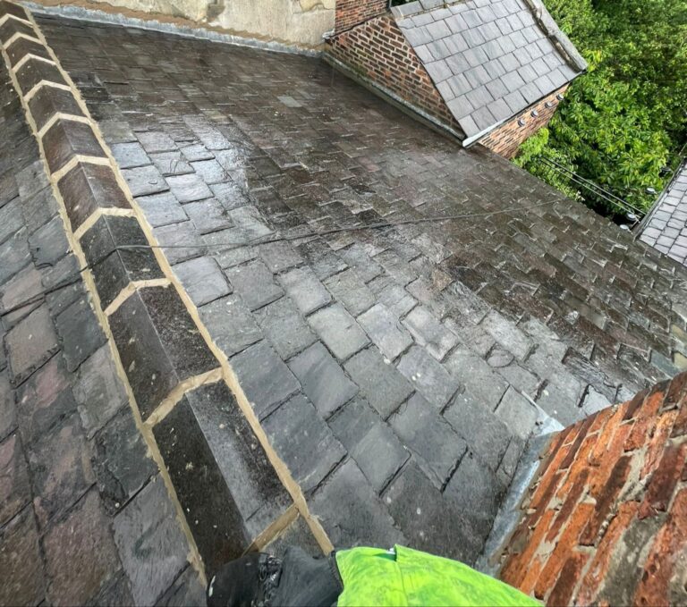 roof moss removal