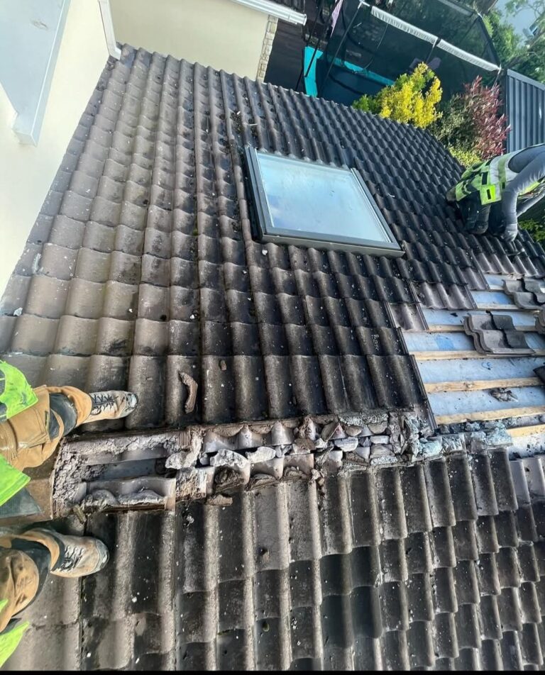 roofing services in dublin